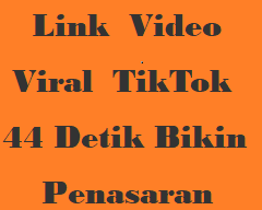 Link Video Viral TikTok 44 Detik Bikin Penasaran